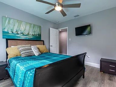 Building Photo - Rare South Tampa Rental in Virginia Park | Huge Private Backyard