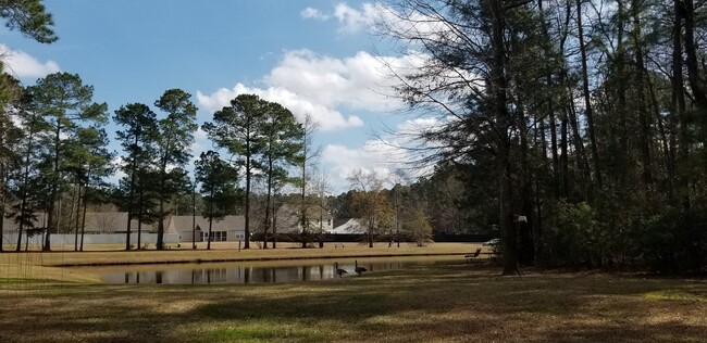 Building Photo - Westcott Plantation 4Br  2.5Ba  Townhouse