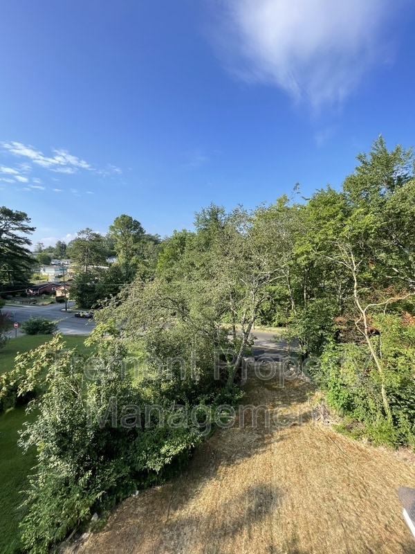 Building Photo - 3707 Wilcox Blvd