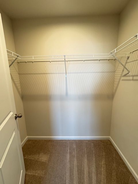 Building Photo - 488 Switchgrass Ct