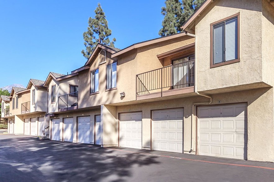 Primary Photo - Mountain Springs Apartment Homes