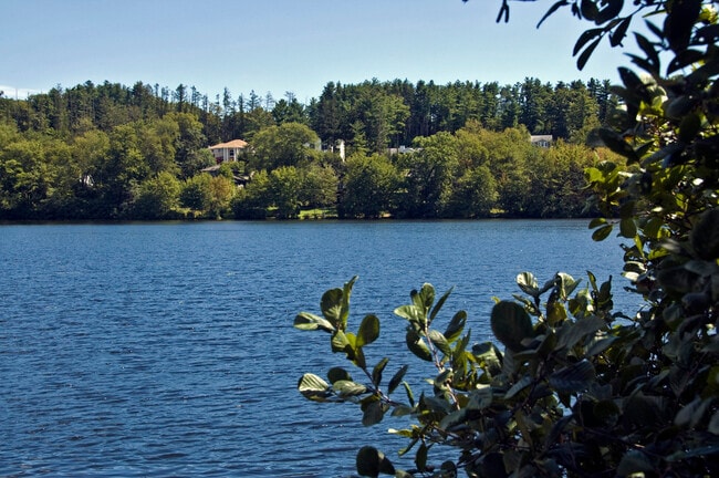 Building Photo - 808 Brushy Mountain Rd