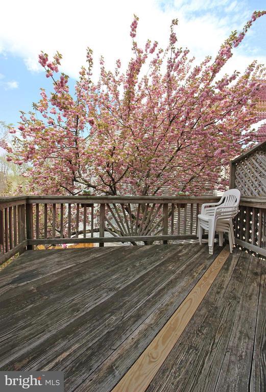 Building Photo - 4236 Bordolino Dr