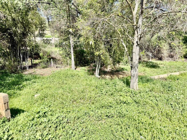 Building Photo - Private Retreat with Expansive Workshop on 1.2+ Acres in Wildomar