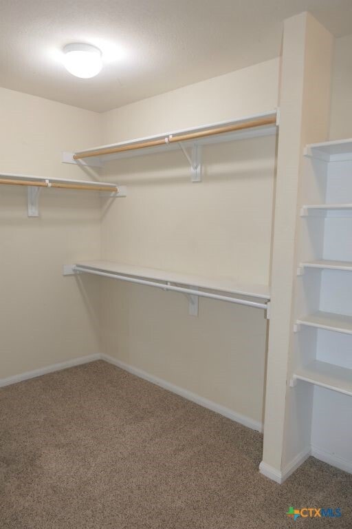Building Photo - 413 Cattail Cir