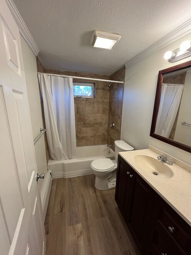 Building Photo - Renovated 3 Bedroom