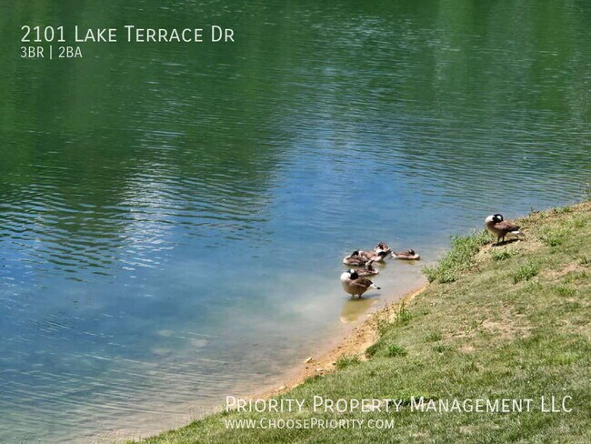 Building Photo - 2101 Lake Terrace Dr