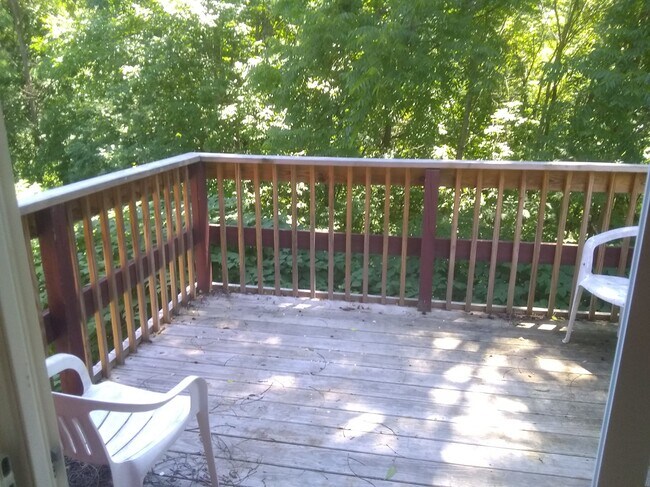 Backyard View toward Conservation Land - 36 Hampden St