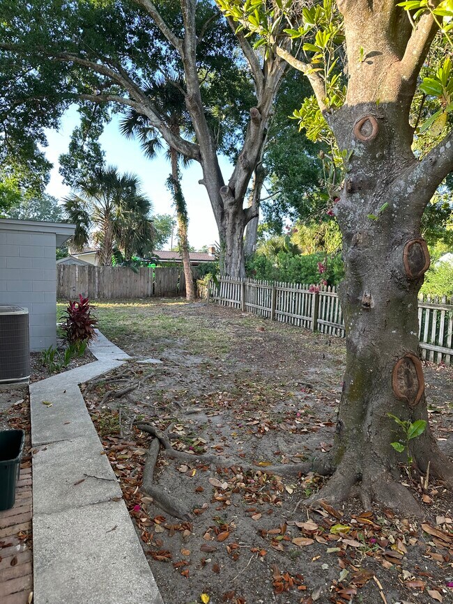 Side yard - 511 Lake Shore Dr