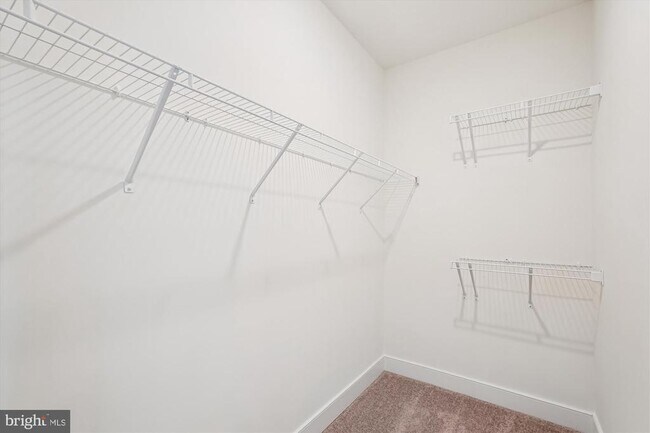 Building Photo - 19820 Lavender Dust Sq