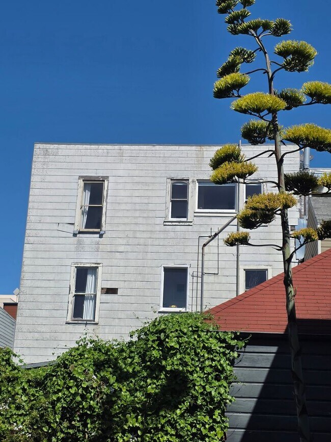 Building Photo - McAllister
