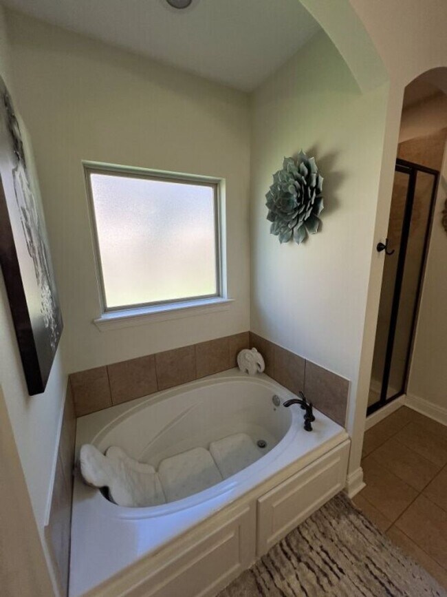 Building Photo - Luxury 4 Bedroom Home in Zachary’s Audubon Lakes