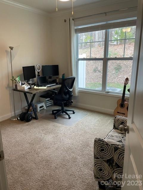 Building Photo - 4 bedrooms 3 bath town home in amenity fil...