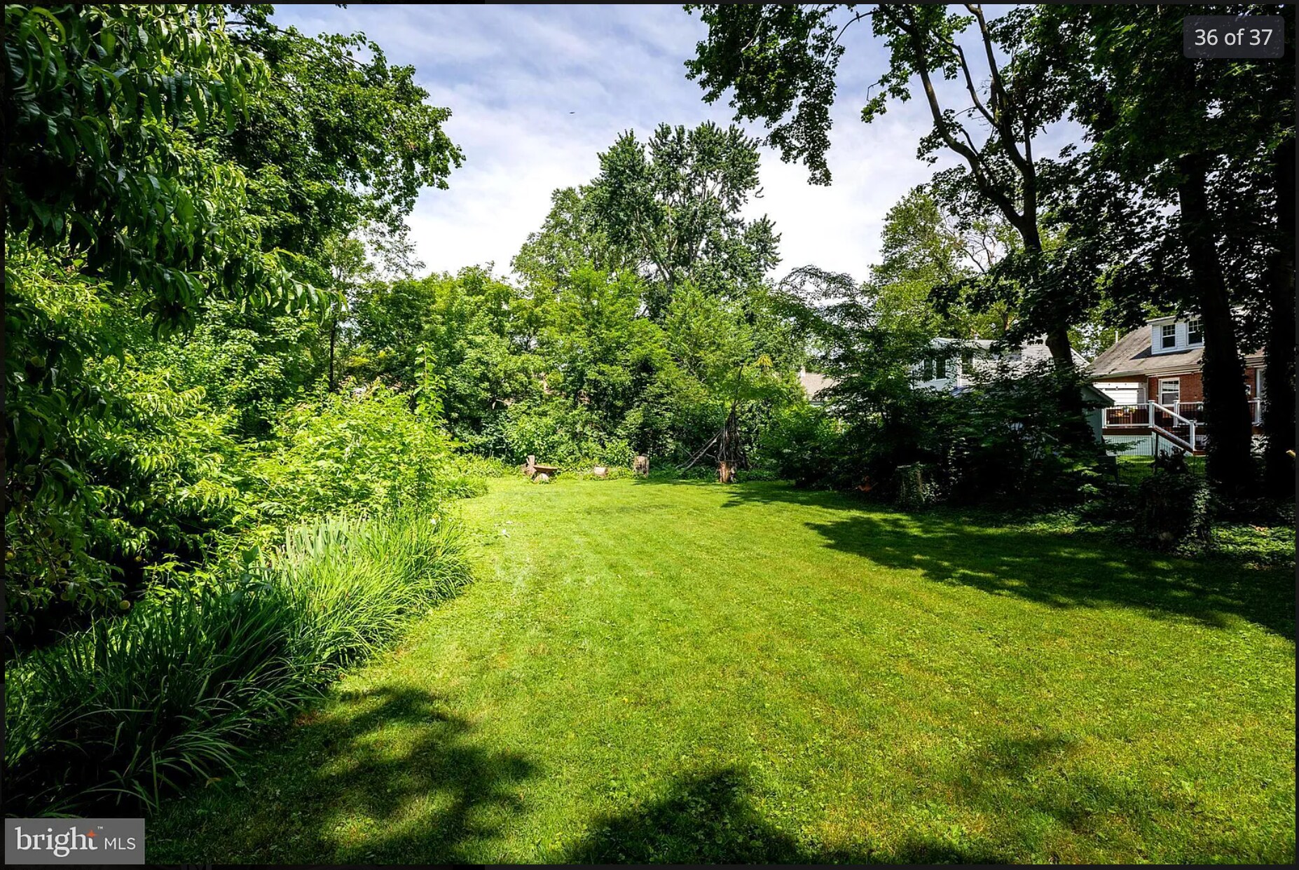 backyard - 210 Mannion Ave