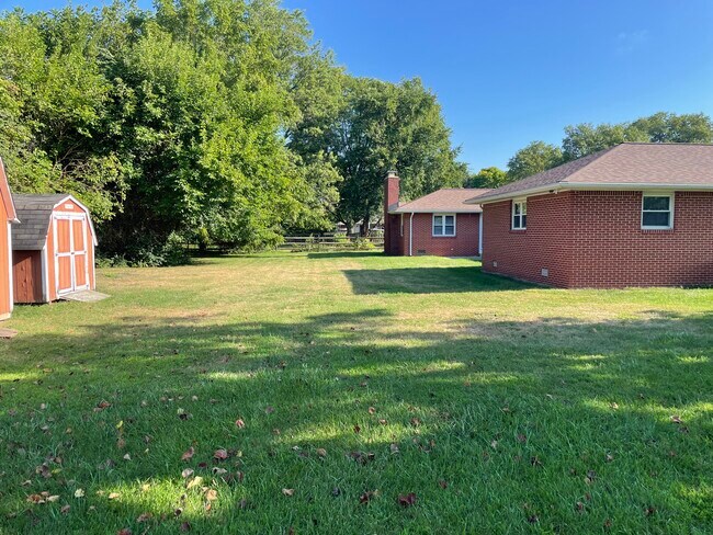 Rear Yard - 256 Williams St