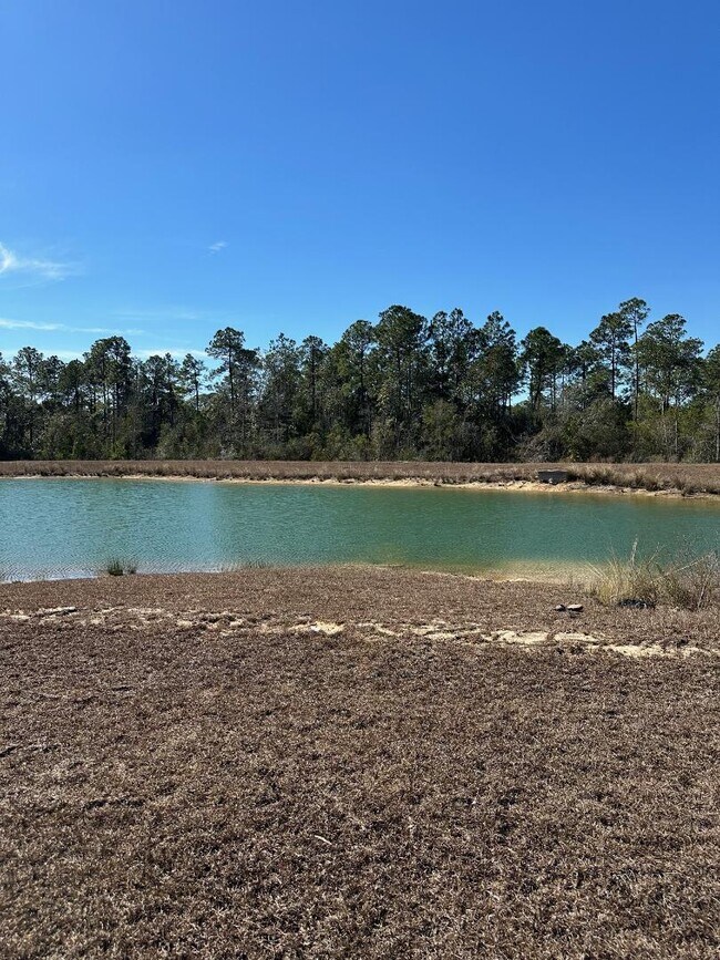 Building Photo - 3998 Whitetail Ln