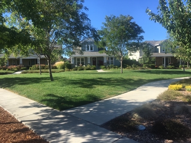 Greenbelt Common Area - 1119 Channing Way
