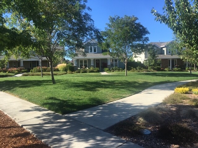 Greenbelt Common Area - 1119 Channing Way