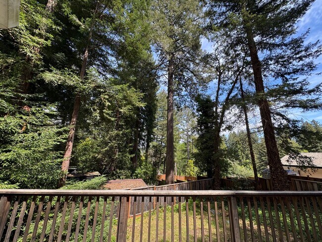 Building Photo - Beautiful Home in Felton