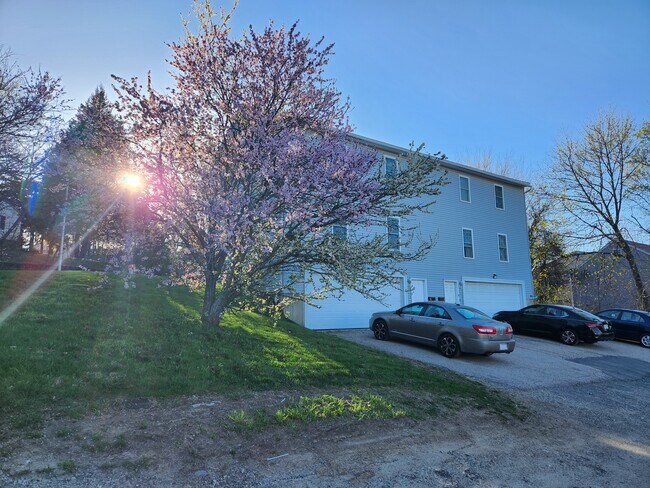 Front of House, View of side lawn - 1 Rosamond St