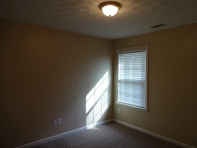 Building Photo - 1633 Virgil Pond Ln