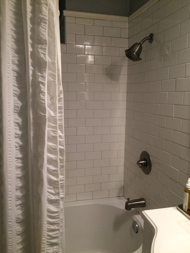 Master Bath, recent remodel - 1409 N Austin St
