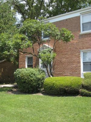 Primary Photo - 623 Waukegan Rd