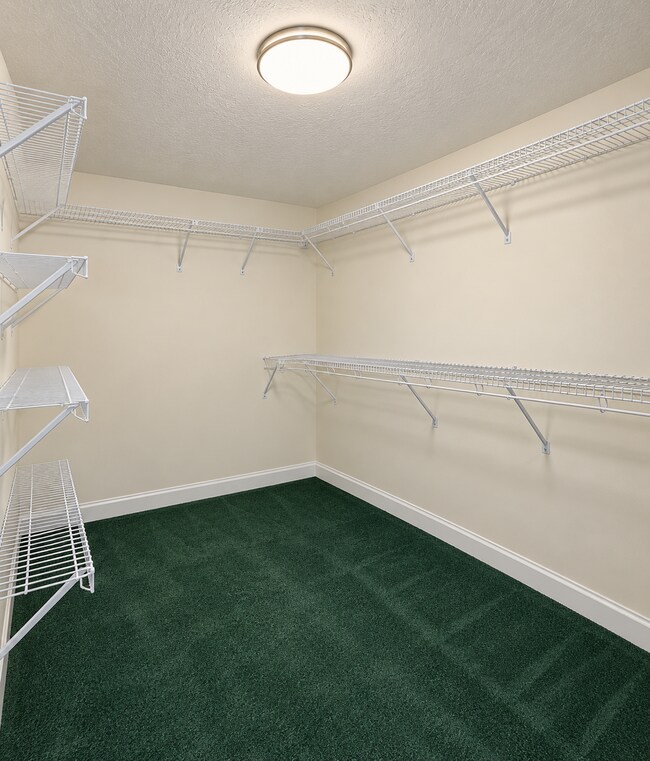 Building Photo - 31 Salal Way