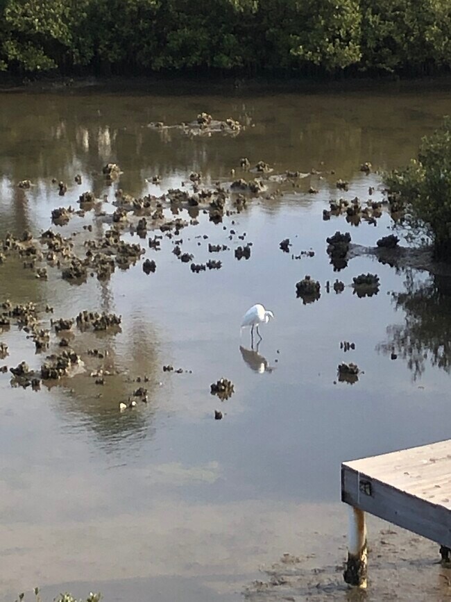 Building Photo - 208 W Saturn Ln