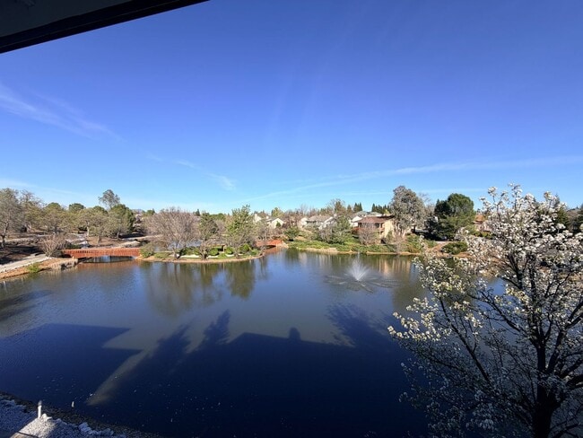 Building Photo - Beautiful Lakefront Home in the Vineyard! 55+ community