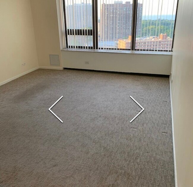 Living Room - 3930 N Pine Grove Ave