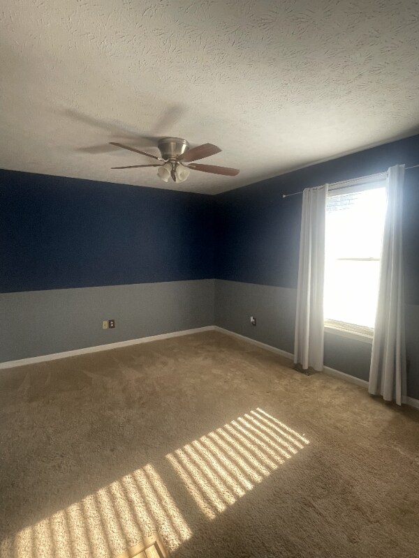 Building Photo - 3505 Curtiswood Ln E