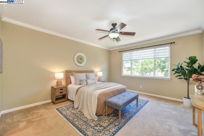Building Photo - 1207 Villagio Dr