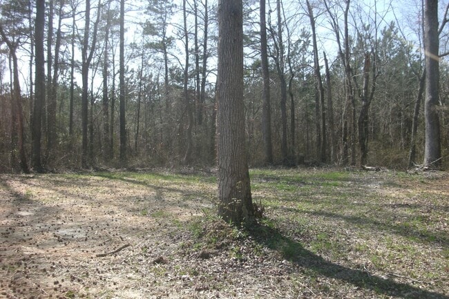 Building Photo - 5808 Red Oak Rd