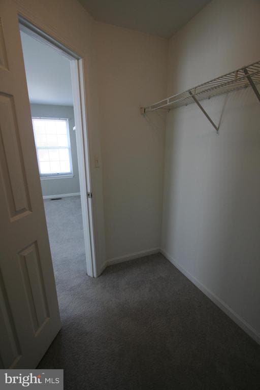 Building Photo - 6233 Sandpiper Ct