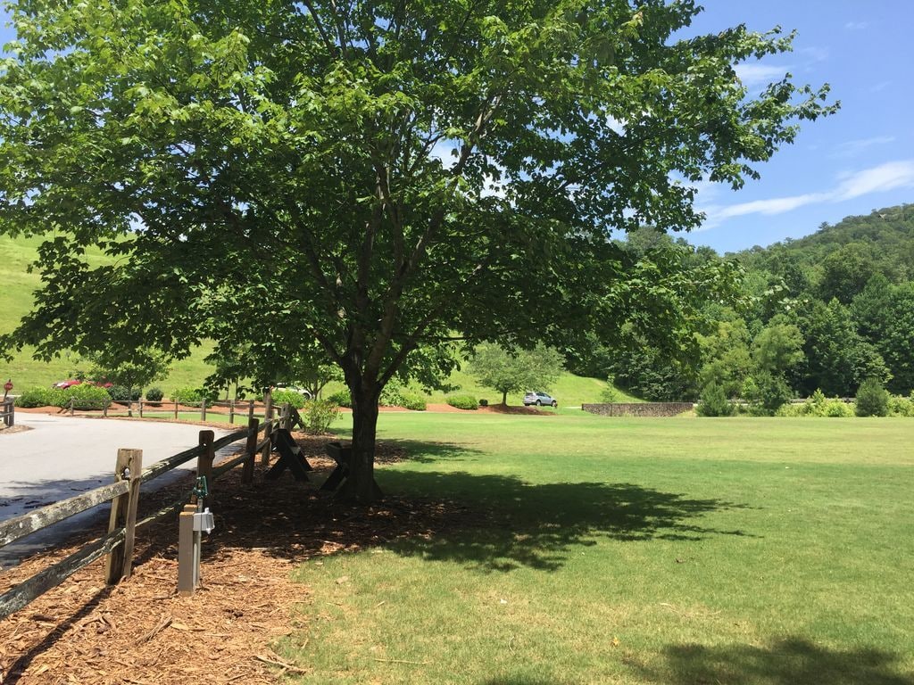 Park - 404 Owls Brow