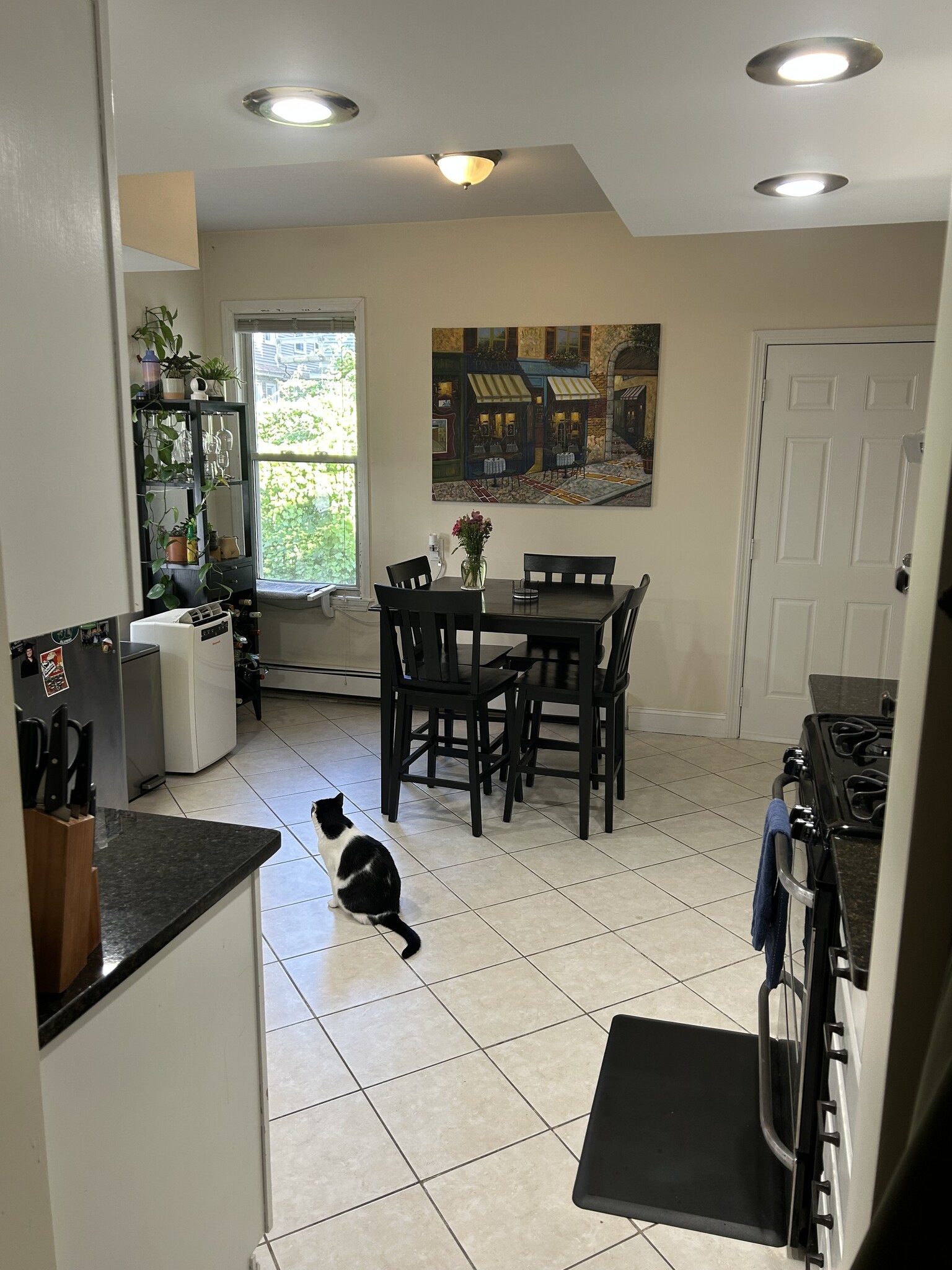 Kitchen and dining area - 30 Egleston St