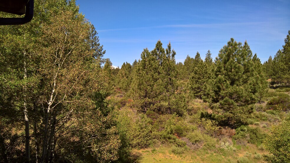 Summer view from decks - 18575 SW Century Dr