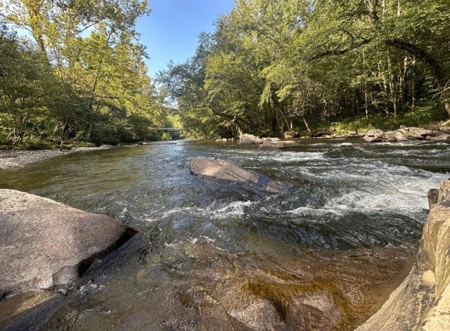 Building Photo - 3626 Pittman Center Rd