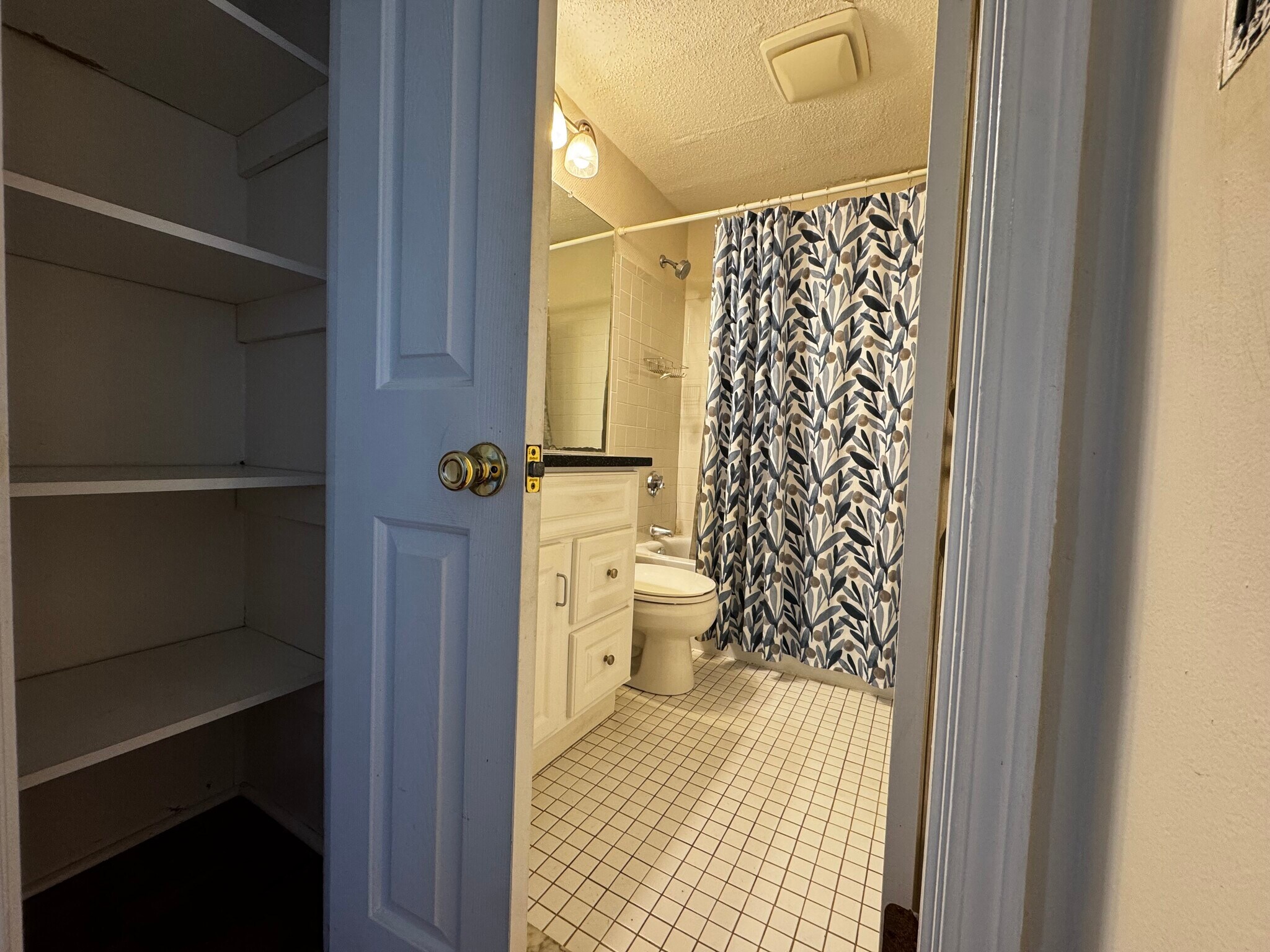 Center hall/bathroom - 145 Essex Ave