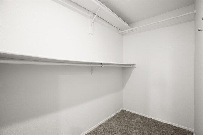 Building Photo - 4822 Transit Cir