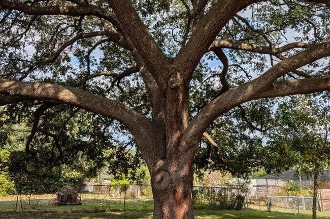 Building Photo - 6033 NW 33 St