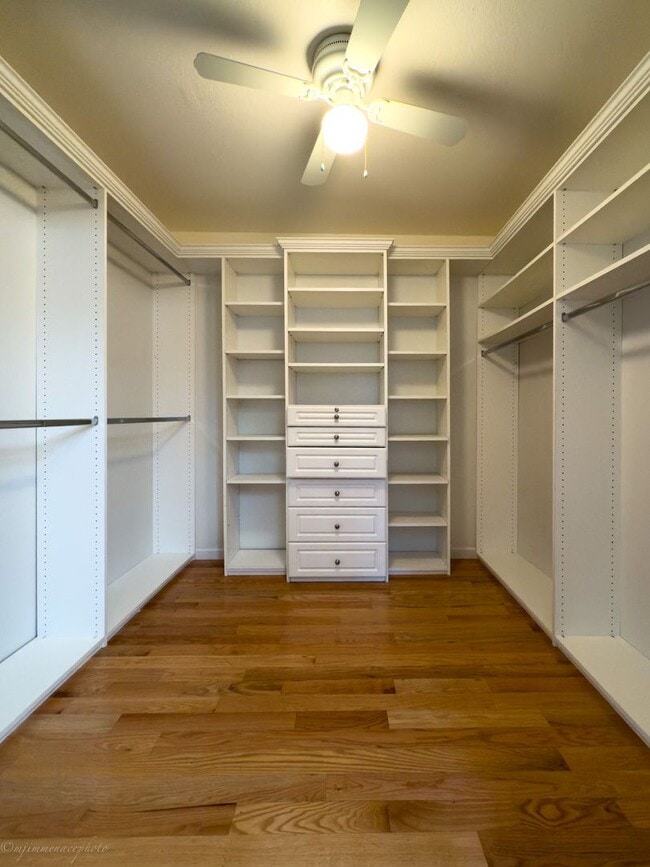 Building Photo - Beautiful 4 Bedroom, 3 Bath Home in Lemon ...