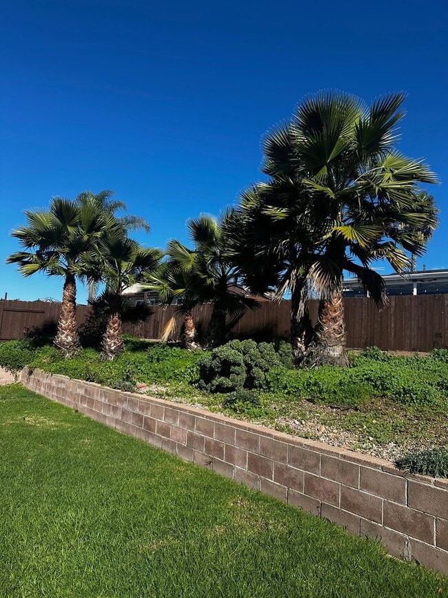 Building Photo - Beautiful 3 bedroom 1 Bath Home near SDSU