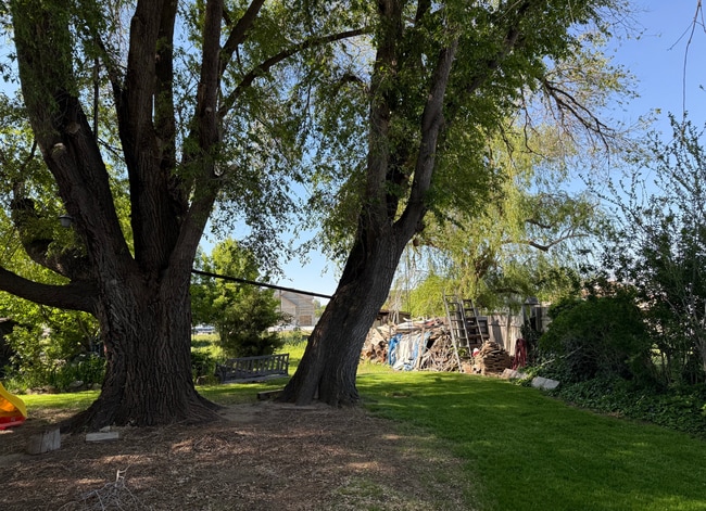 Building Photo - Cute Lehi rambler with tons of yard space and trees!