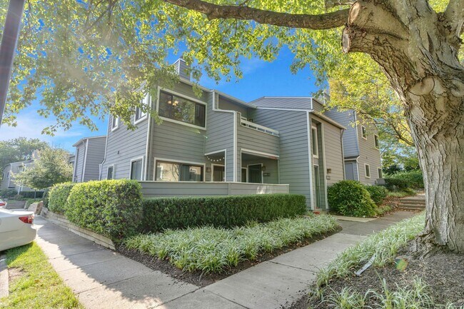 Building Photo - 11041 Villaridge Ct