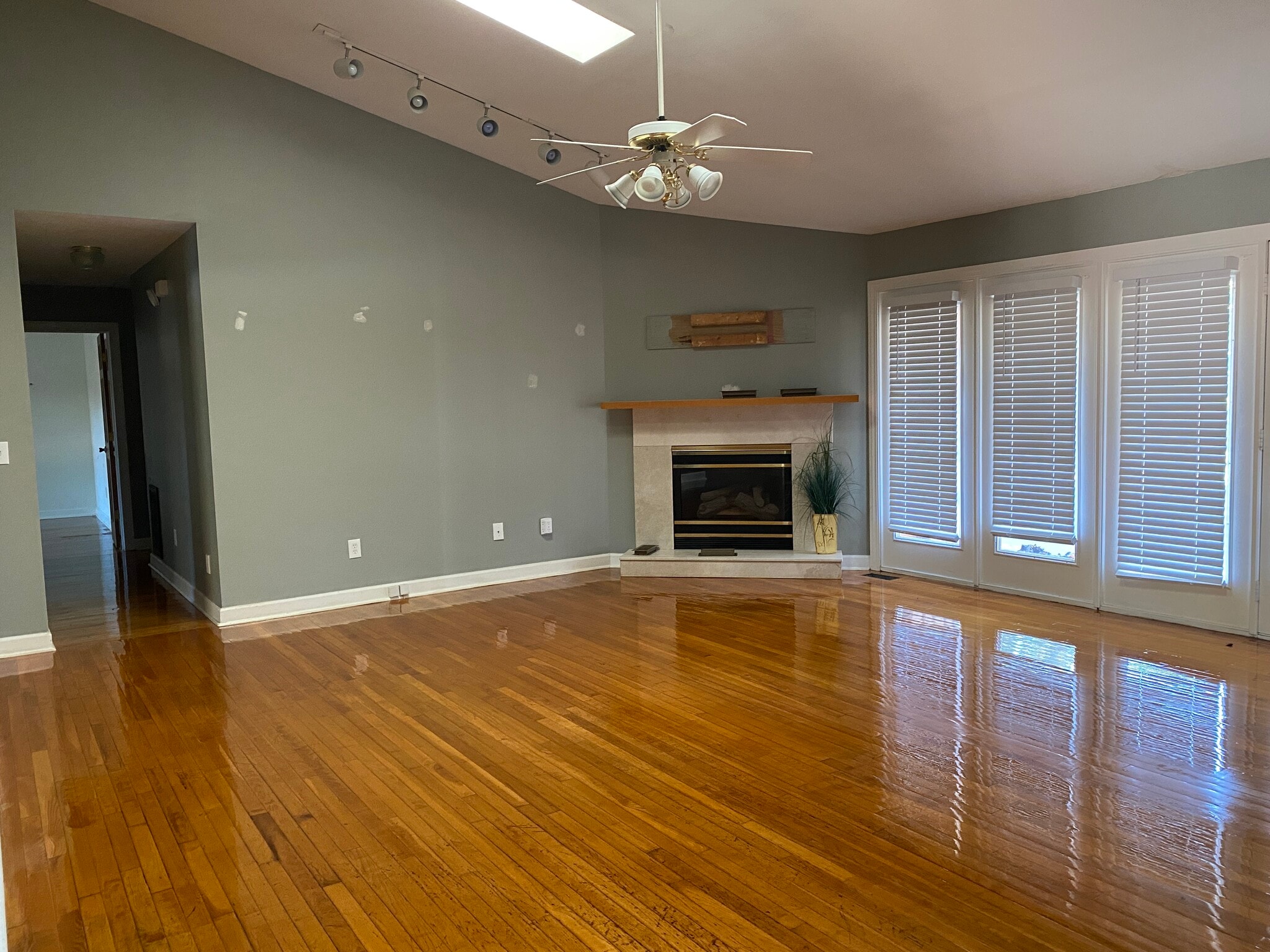 Living room (2 sky lights) - 1229 Clemson Rd