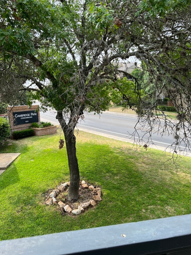 Building Photo - 11311 Sir Winston St