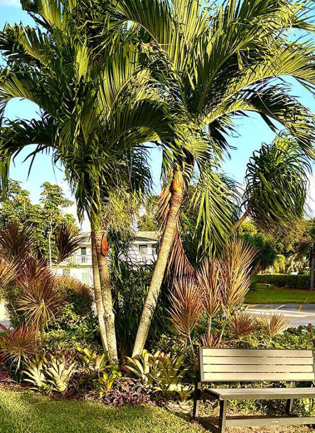 Building Photo - 433 Durham O