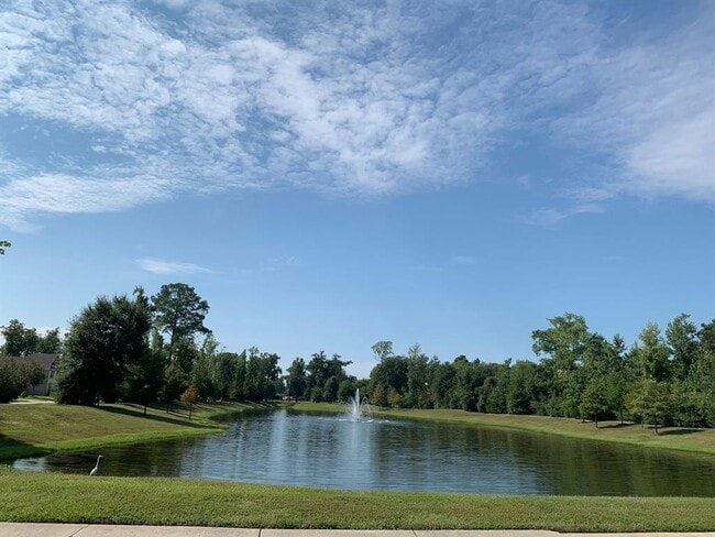 Building Photo - 22019 Flashing Ridge Dr